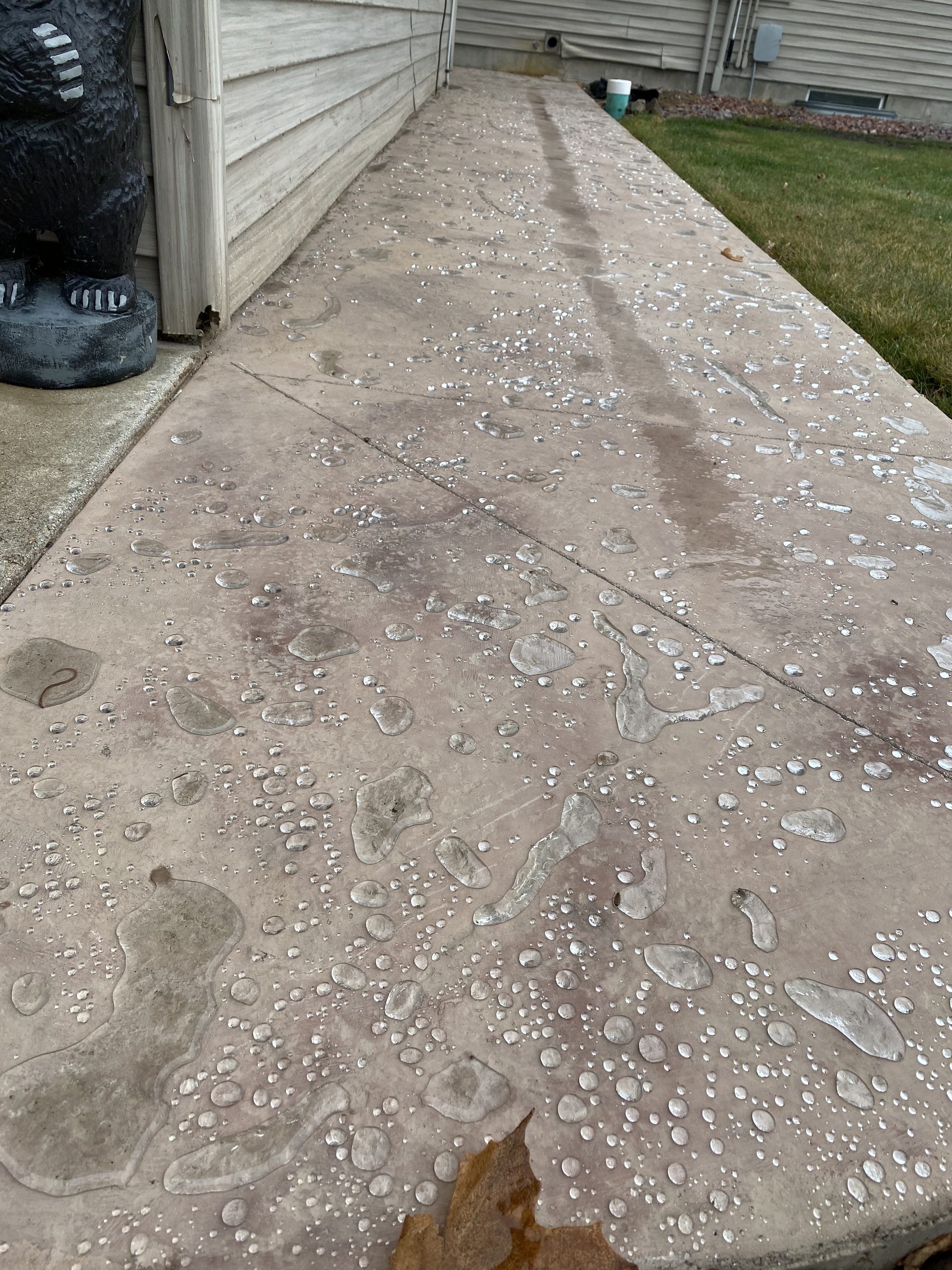 Finished concrete driveway with water beads after rain, showing clean concrete surface alongside residential property.